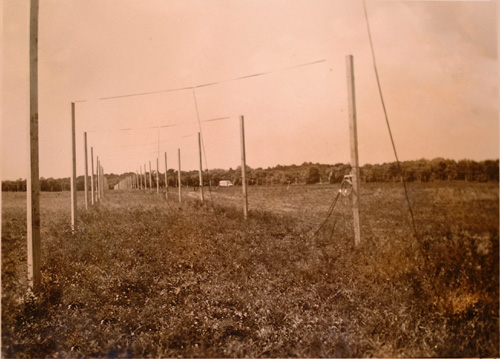 A view along one arm of the array showing two rows of wooden poles extending into the distance